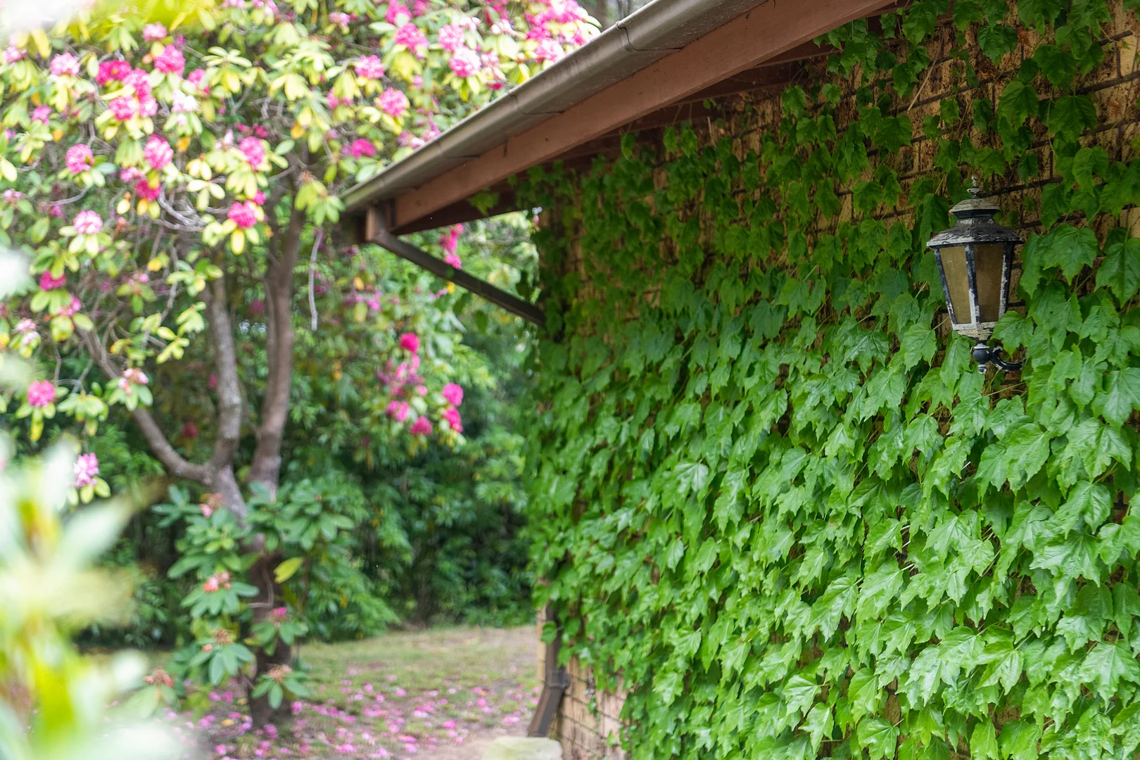 Image 15