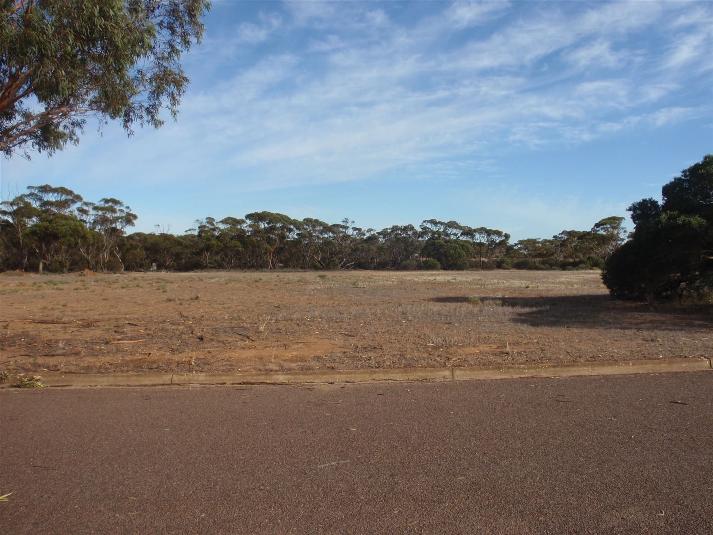 Allotment 86 & 87 Hayman Street, Minnipa SA 5654, Image 1