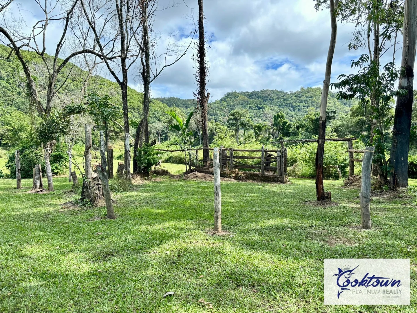 Additional image 24 of 2529 Cape Tribulation Bloomfield Rd, Bloomfield QLD 4895