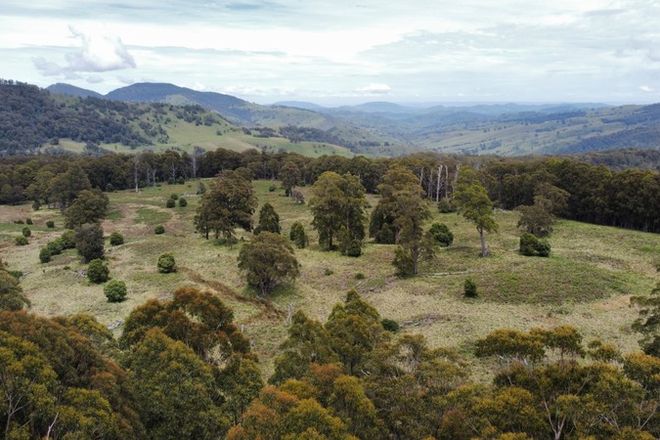 Picture of Lot 81-82, 94-95 Upper Rouchel Road, UPPER ROUCHEL NSW 2336