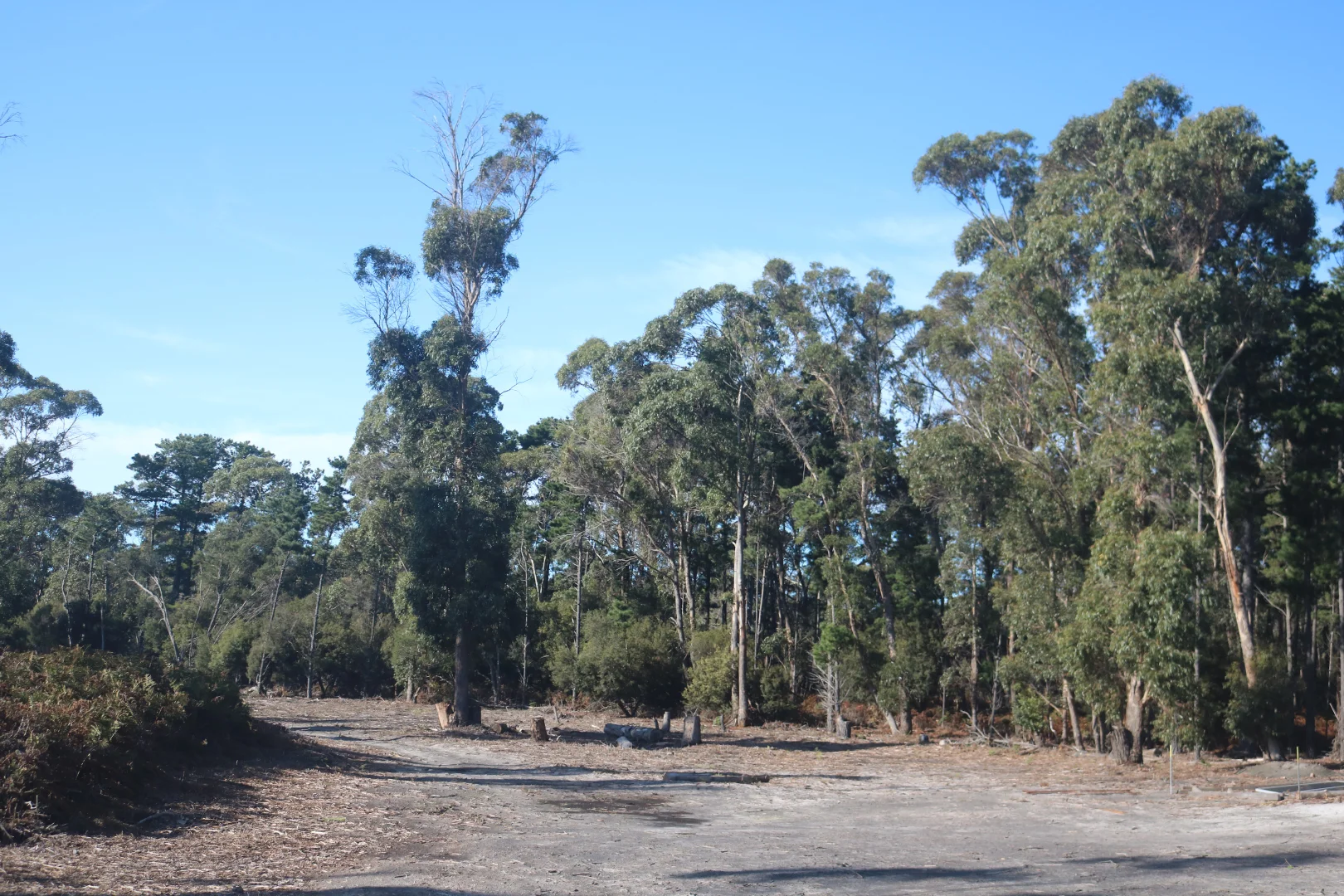 Image 14