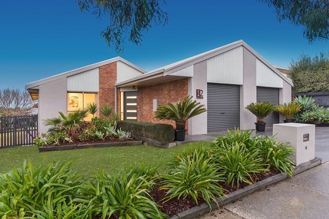 Picture of 12 Burgundy Drive, WAURN PONDS VIC 3216