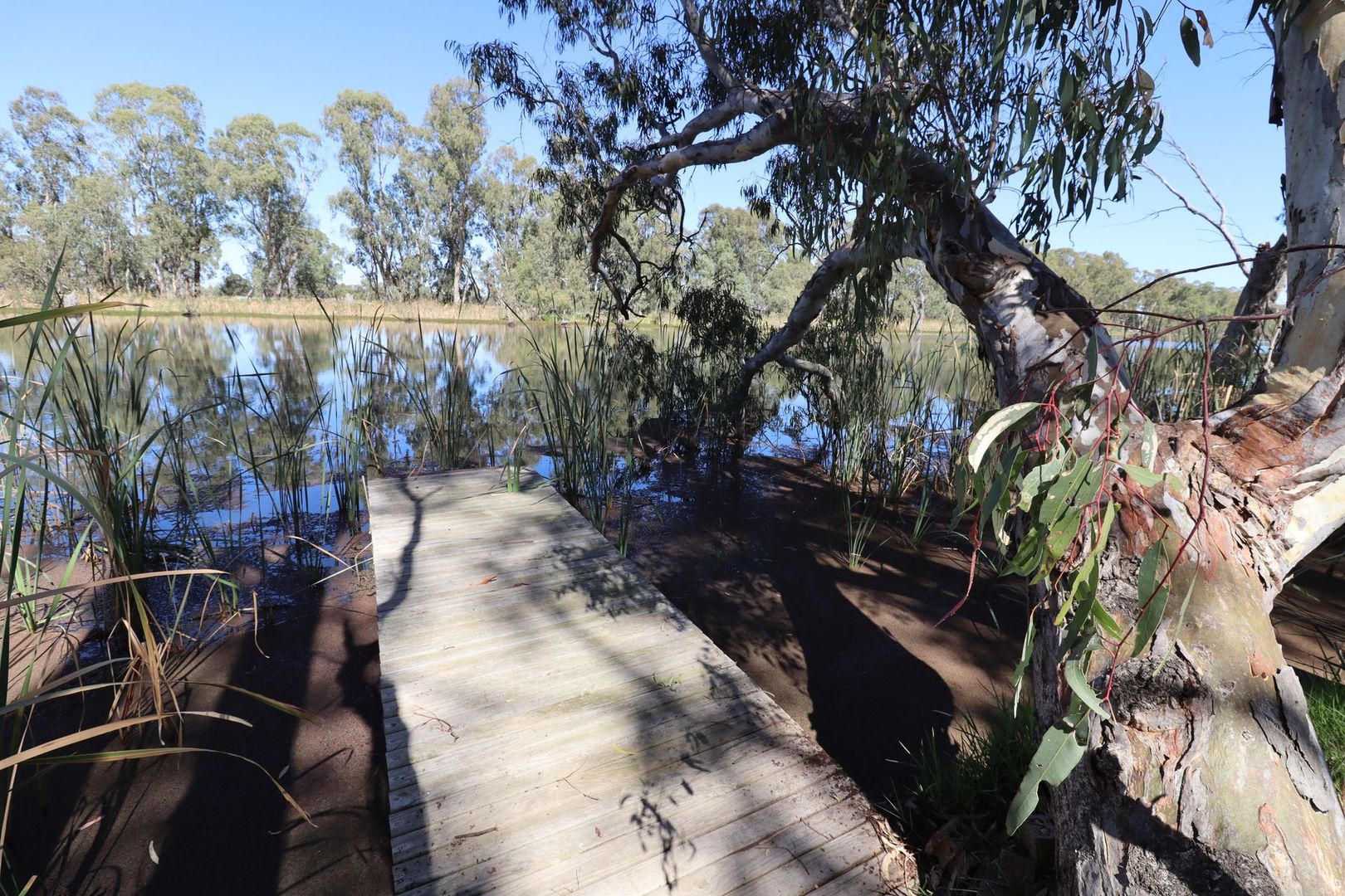 391 Cohuna Island Road, Cohuna VIC 3568, Image 1