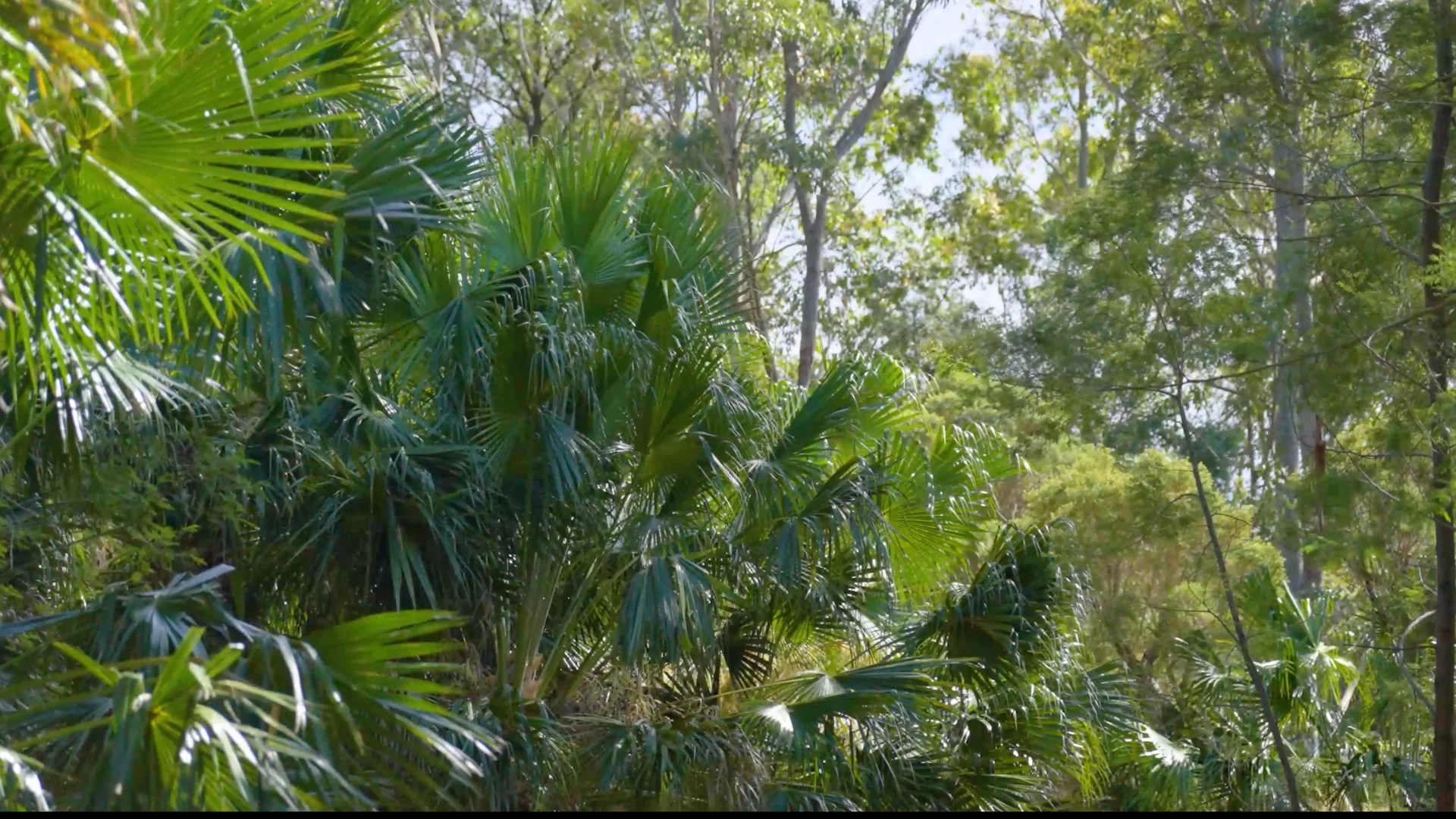 Additional image 9 of 41/271 Lemon Tree Creek Road, Termeil NSW 2539