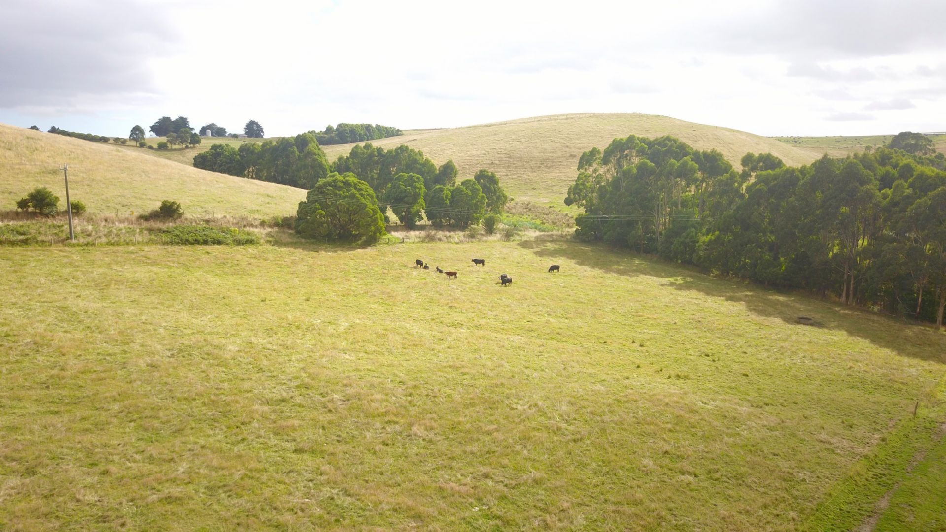 Lot 22A SCOTT & FAHEYS ROAD, Korumburra VIC 3950, Image 1