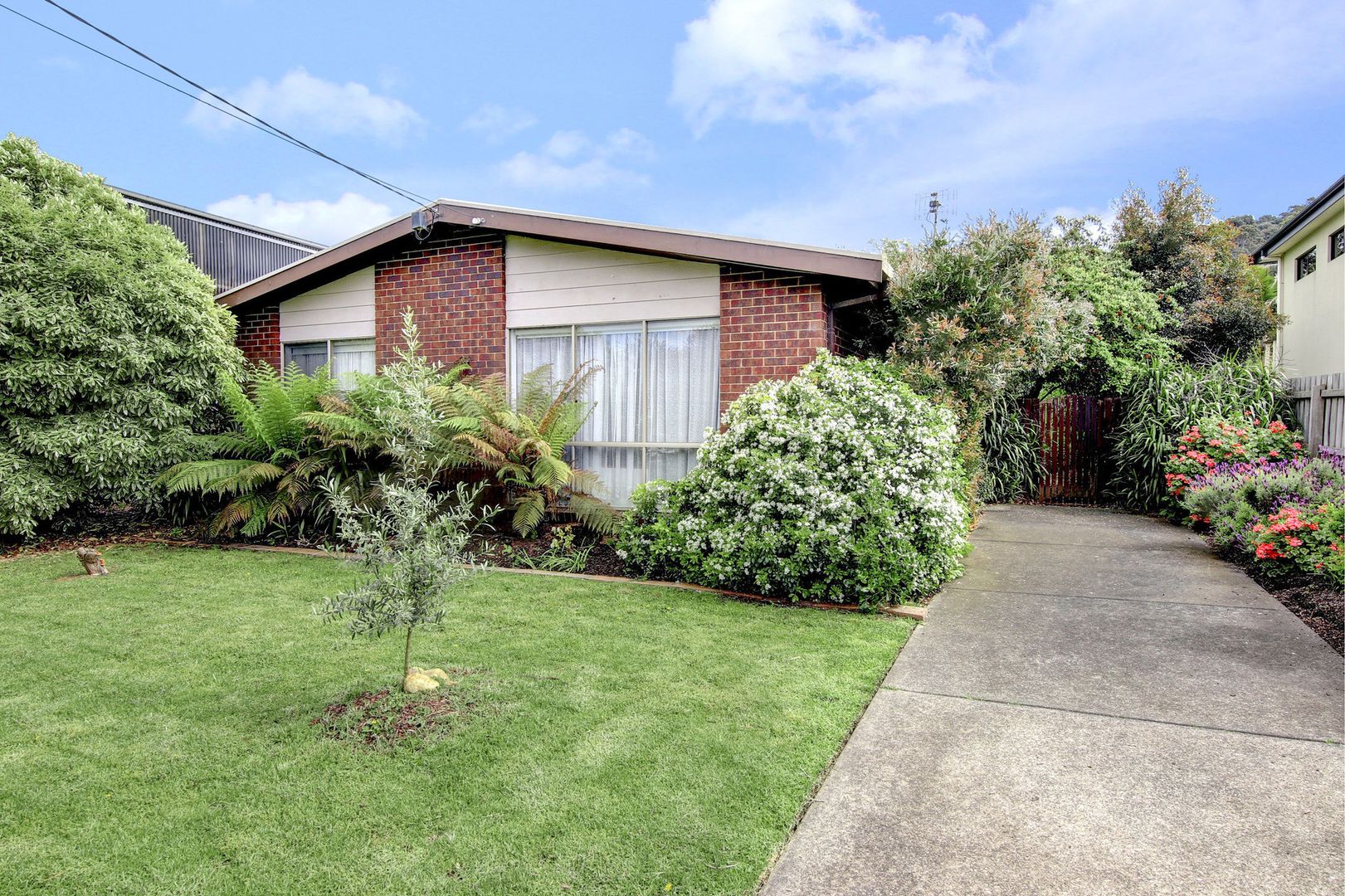 23 Thurloo Drive, Safety Beach VIC 3936, Image 1