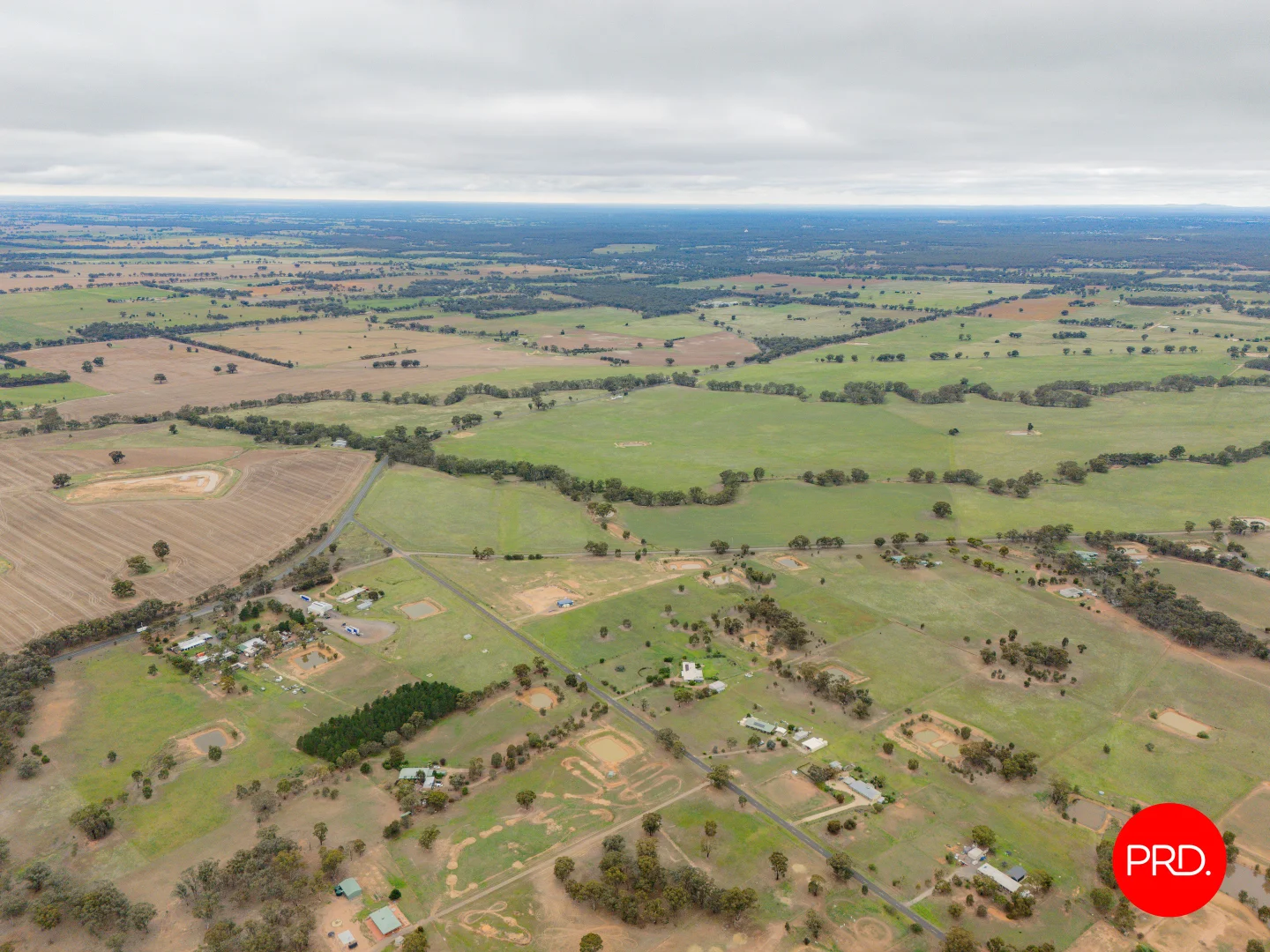Image 21