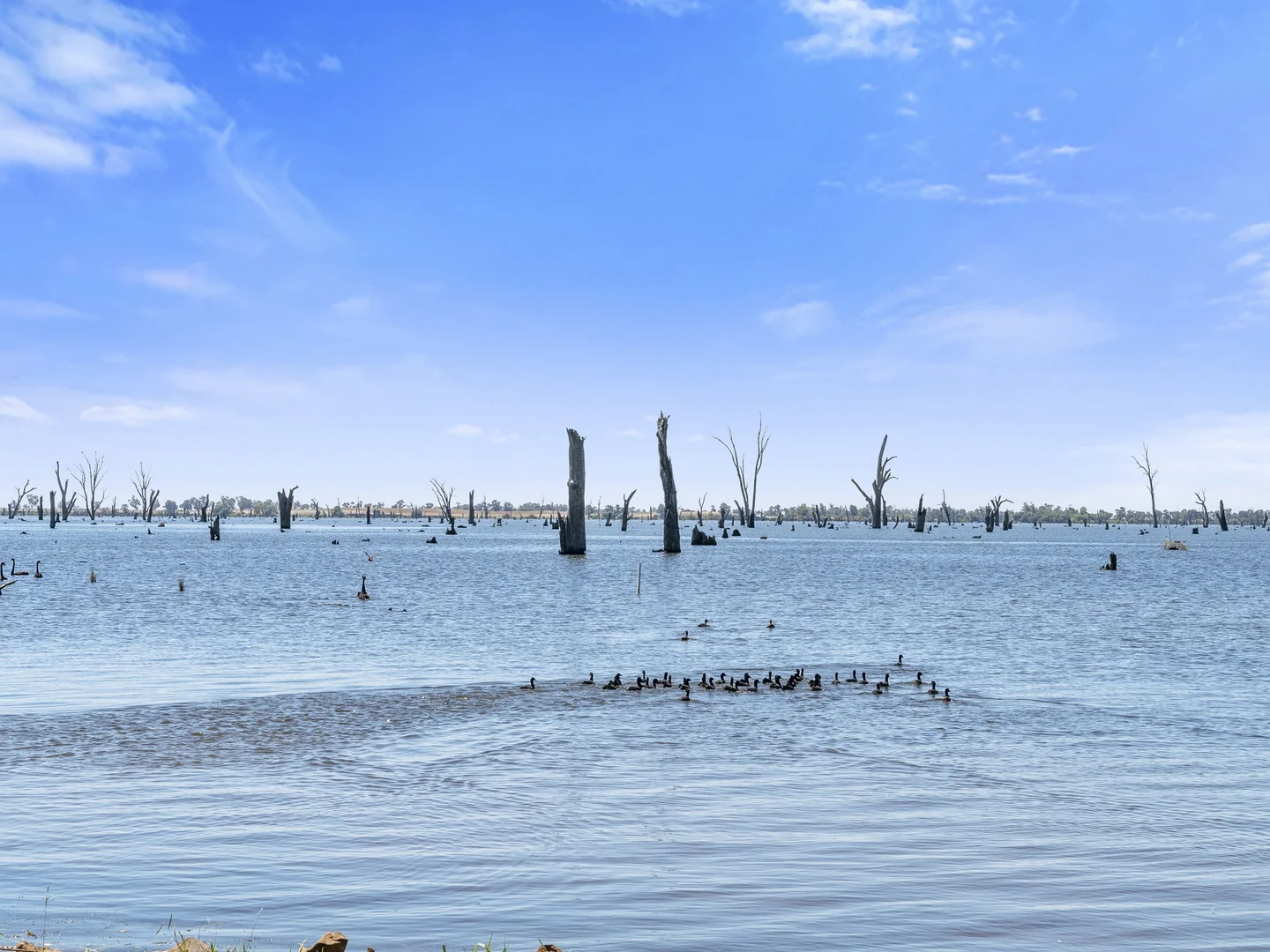 Additional image 10 of 8274 Murray Valley Highway Yarrawonga 3730, Yarrawonga VIC 3730