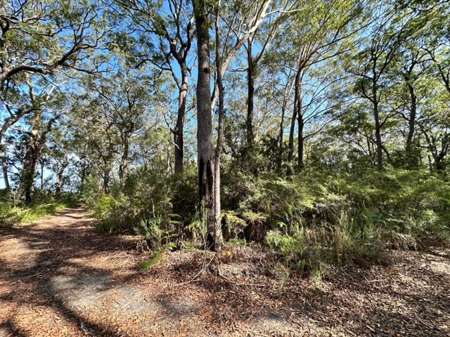 Lot 34 Sunnyside Avenue, Woollamia NSW 2540, Image 1