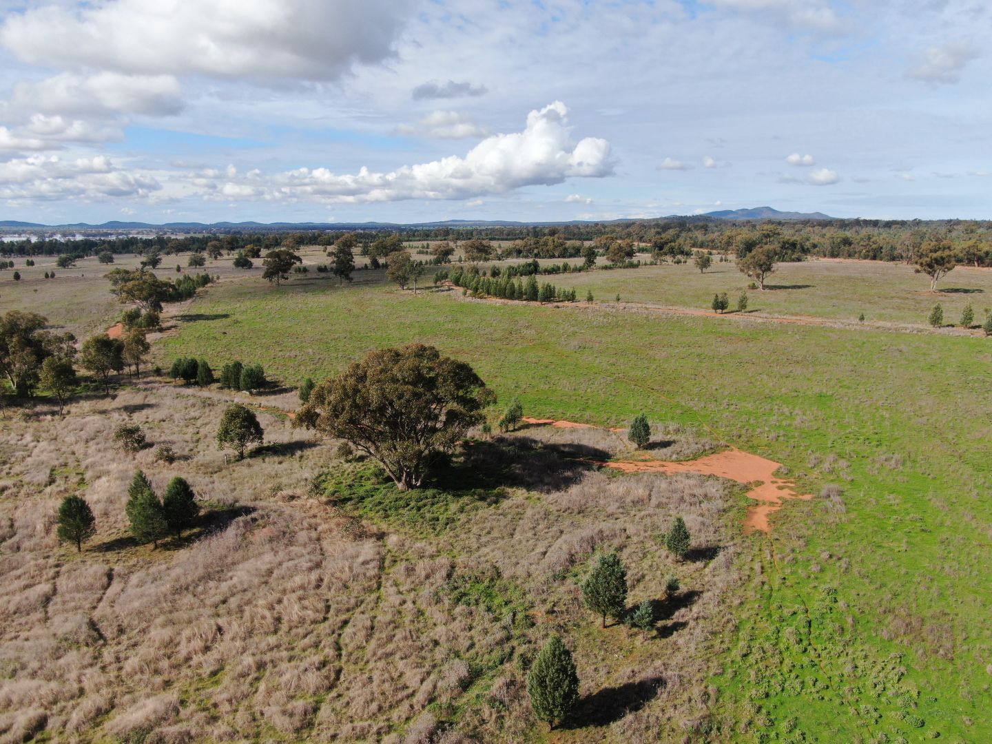 'The Ranch', 2275 Grassmere Road, Condobolin NSW 2877 Specialist Farm