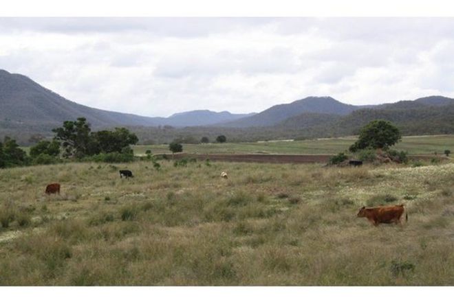 Picture of UPPER FREESTONE QLD 4370