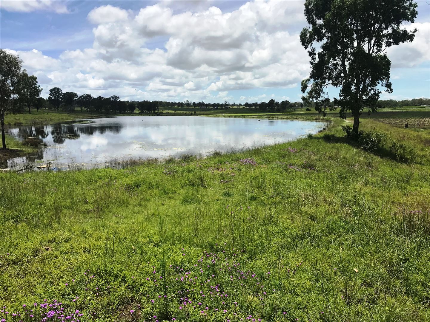 61 Brand Rd., Murgon QLD 4605 Farm for Sale Domain