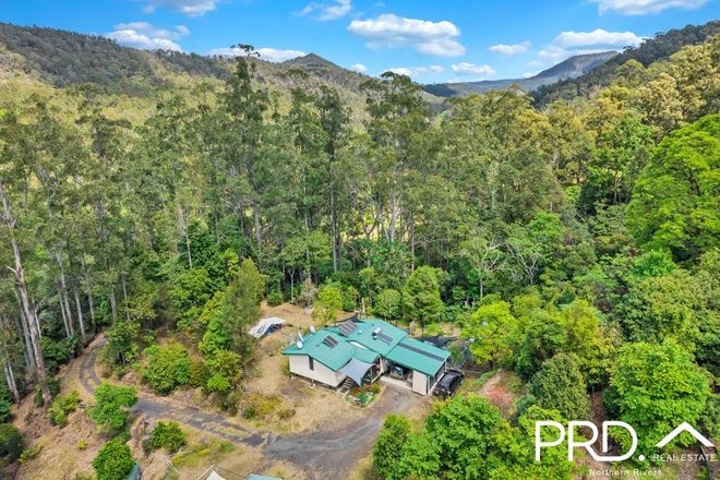 Picture of 69 Turpentine Road, WARRAZAMBIL CREEK NSW 2474