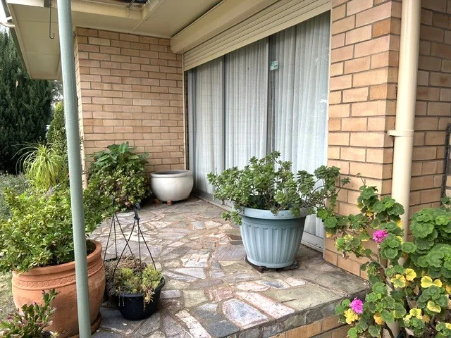 Image 27