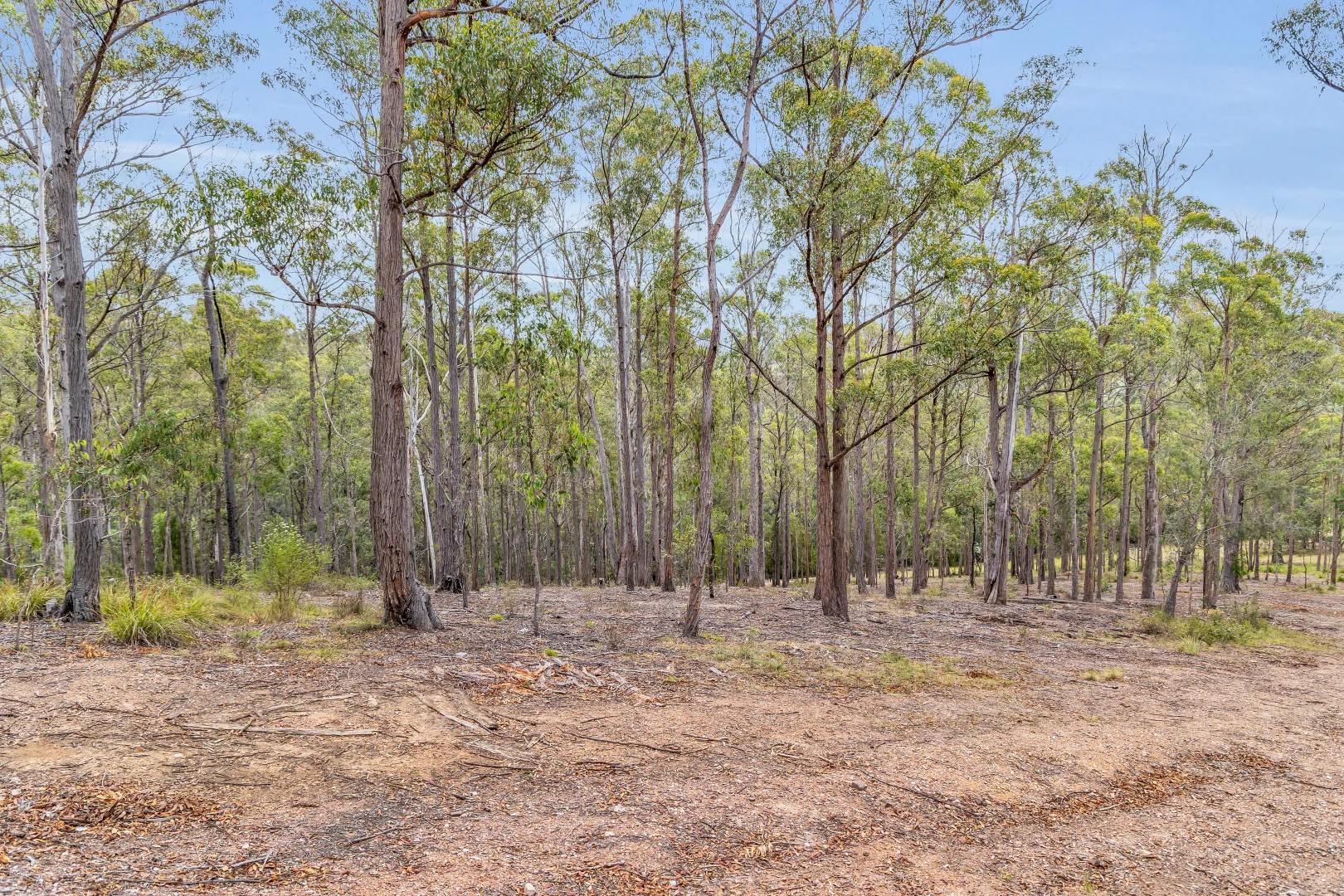 Image 10