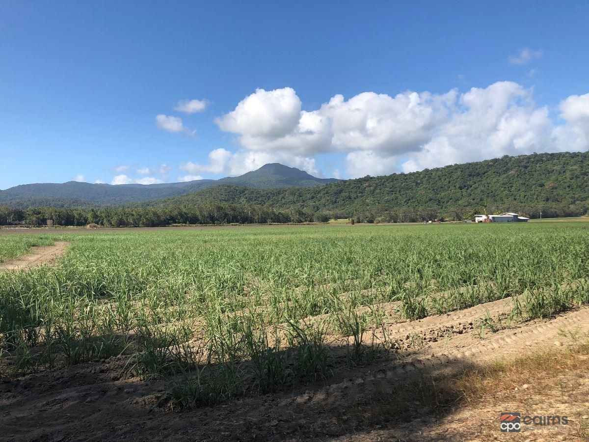 Lot 3 Pine Creek Yarrabah Road, Green Hill QLD 4865, Image 1