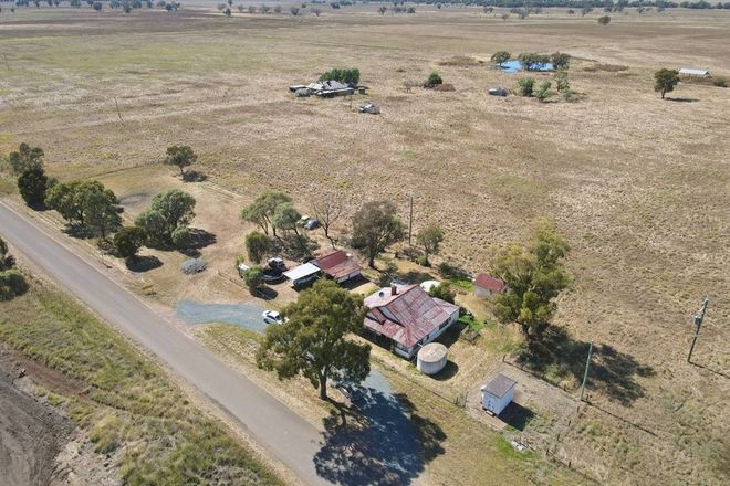 Picture of 1435 Brolgan Road, NELUNGALOO NSW 2876