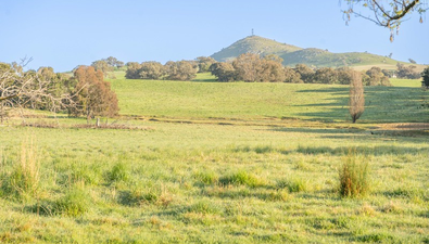 Picture of Lot/1 Cattle Street, BINALONG NSW 2584