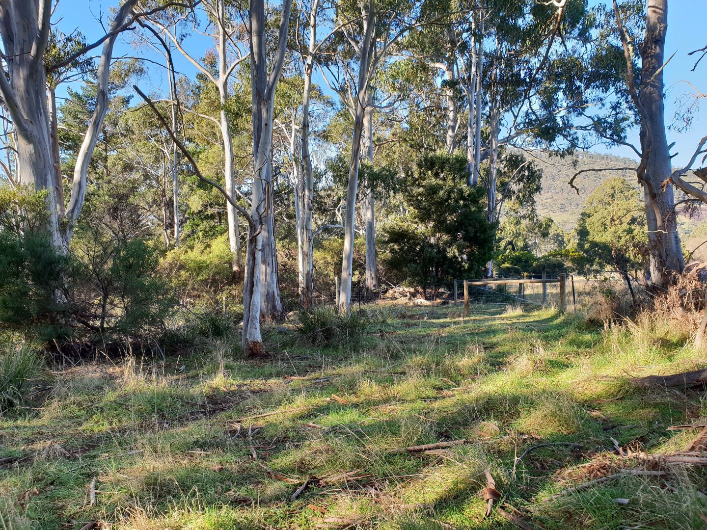 Lot 4 Evans Road, Port Huon TAS 7116, Image 2