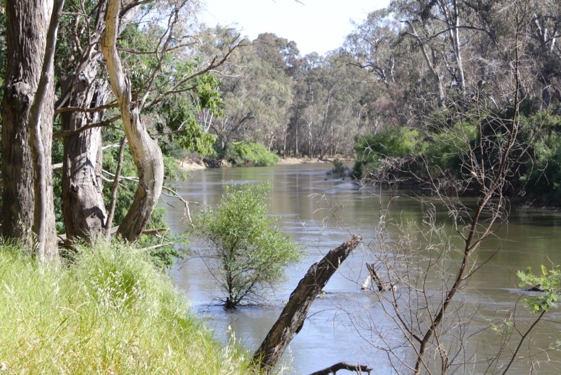 55 Selectors Road, Mangalore VIC 3663 House for Sale 2,900,000