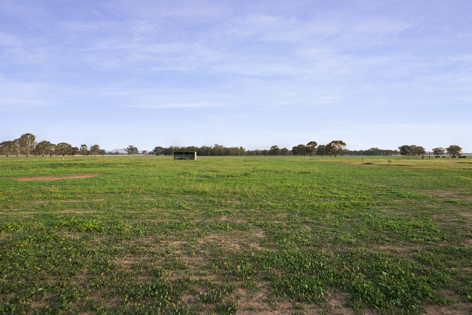 Image 23