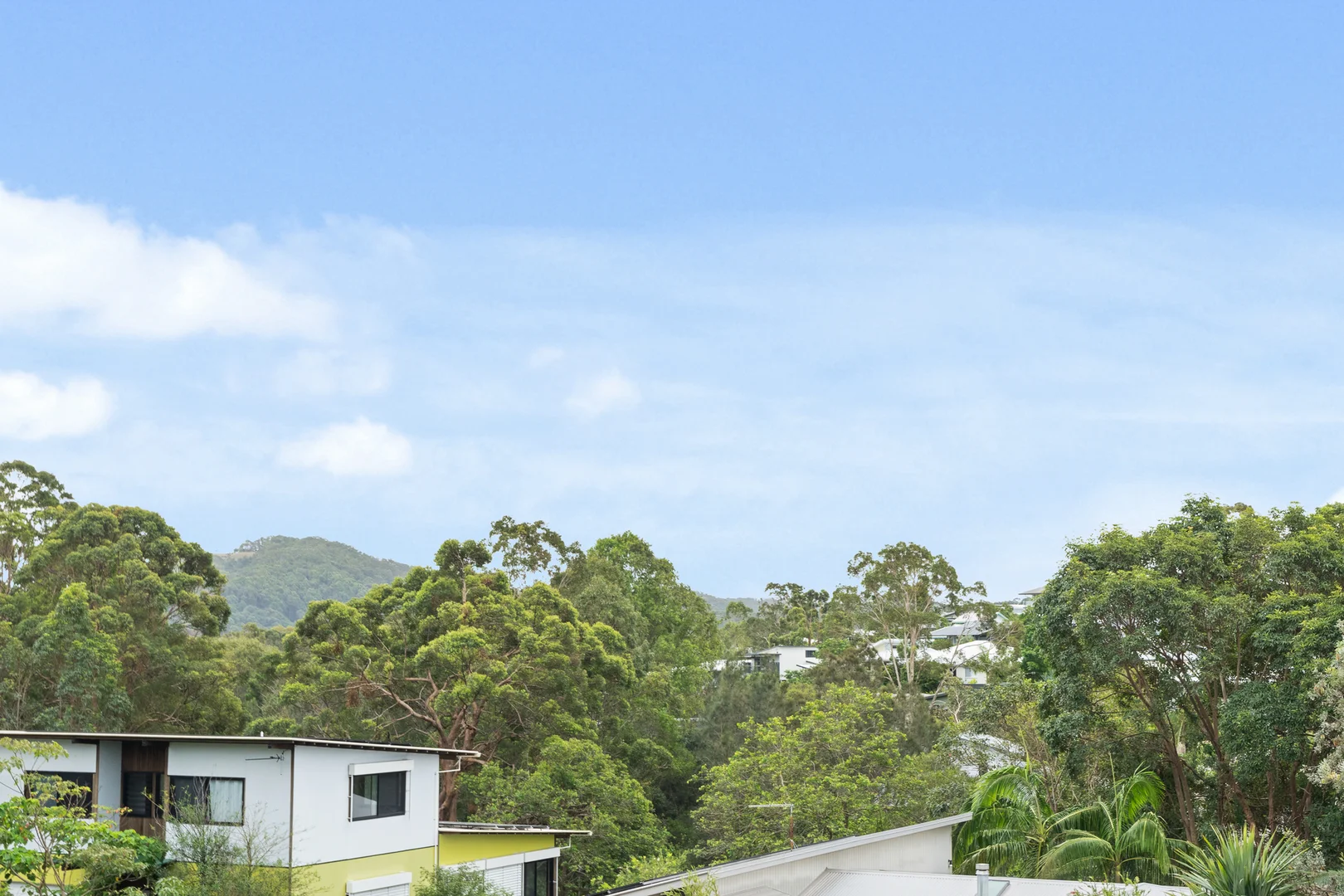 Additional image 23 of 43 Sassafras Street, Pottsville NSW 2489