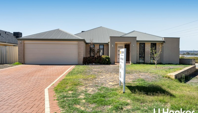 Picture of 8 Hayfield Road, SOUTHERN RIVER WA 6110