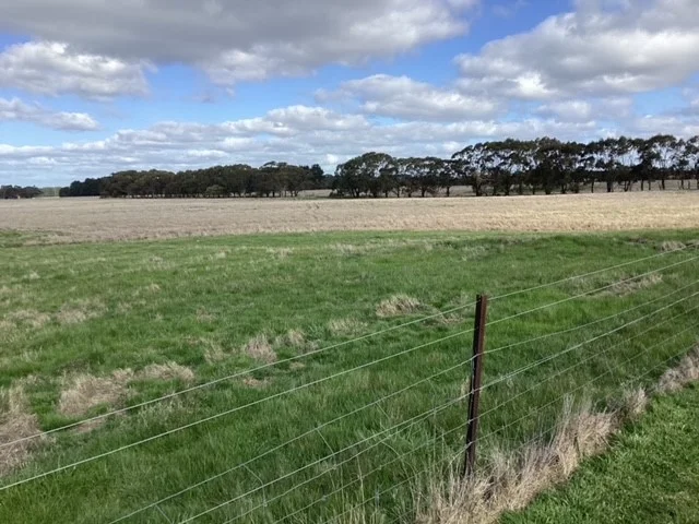 Image 37