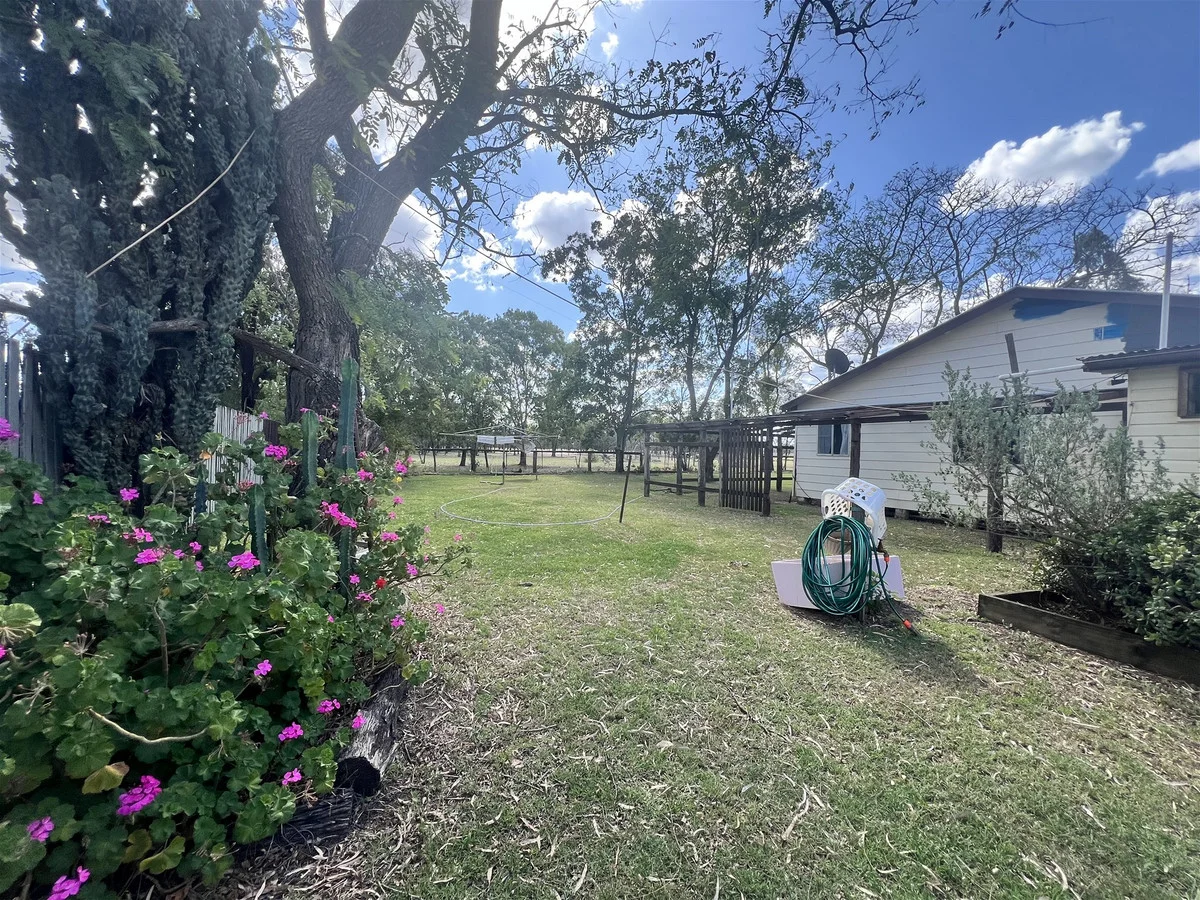 Image 31