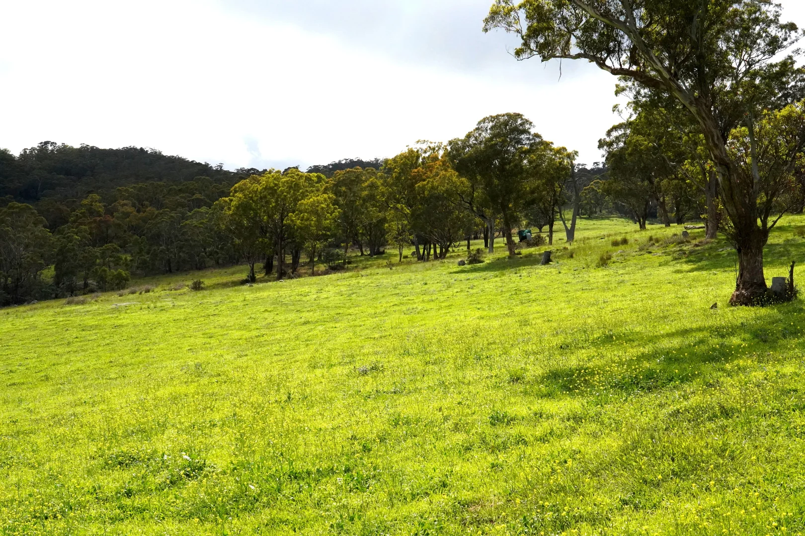 Additional image 28 of 410 Honeysuckle Falls Road, Tarana NSW 2787