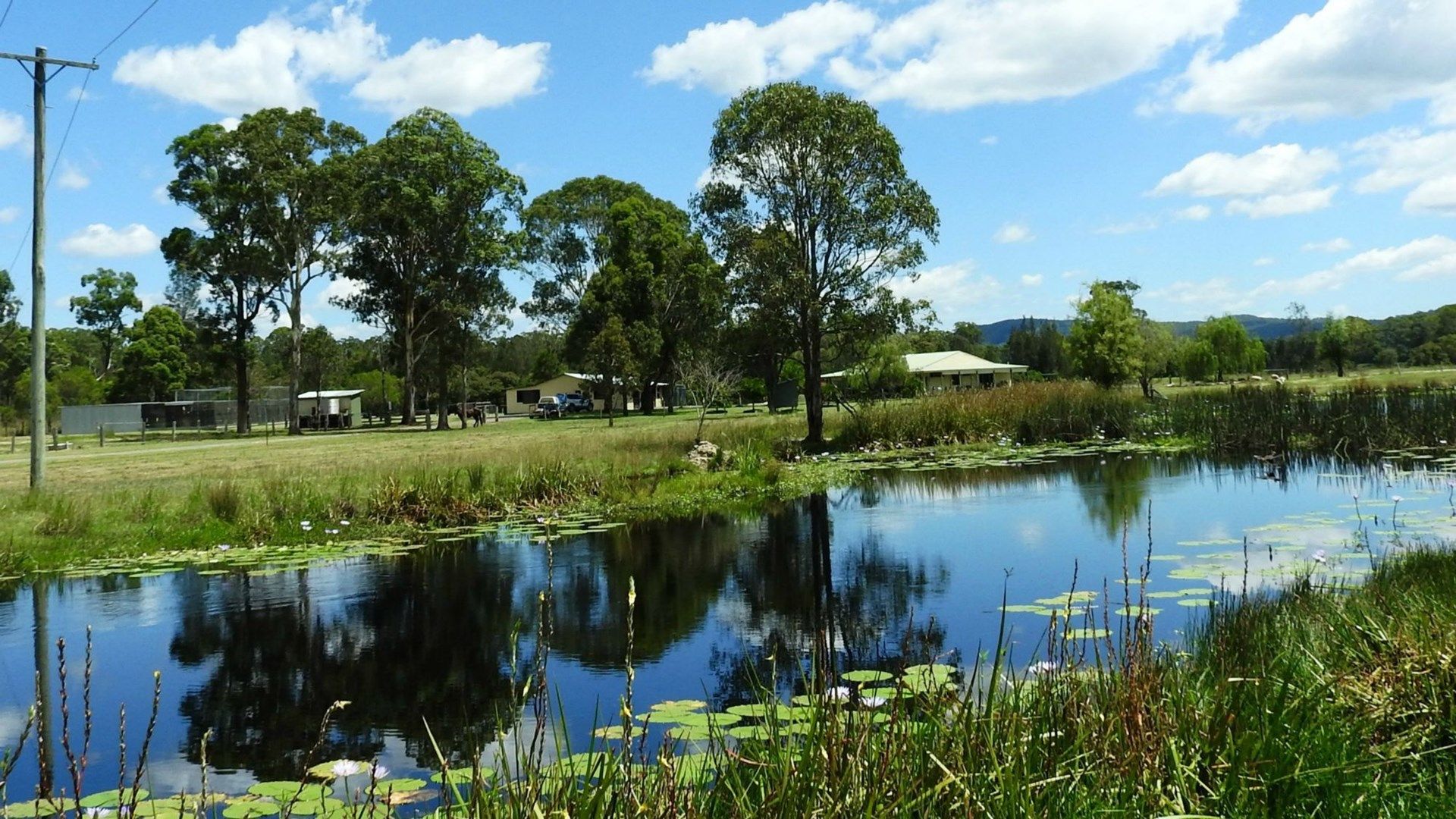 197a Greys Road, Failford NSW 2430, Image 0