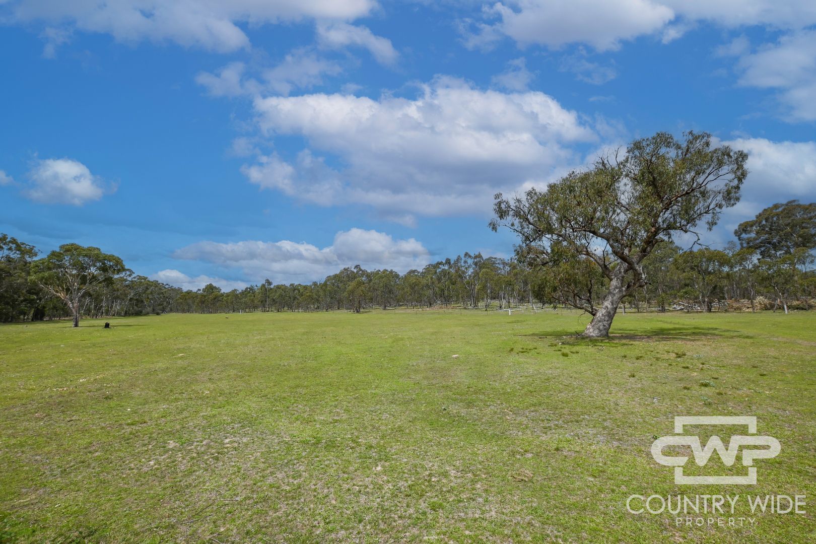 46 Catarrh Creek Road, Torrington NSW 2371, Image 1