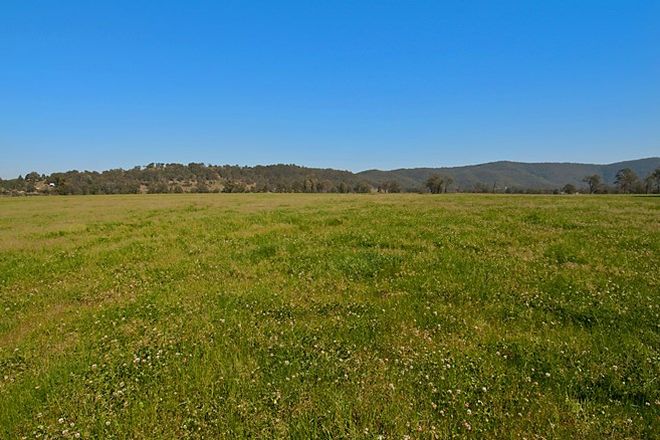 Picture of 29 Lomandra Circuit, PATERSON NSW 2421