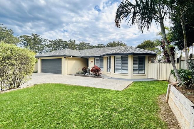 Picture of 3 Camellia Close, BOAMBEE EAST NSW 2452