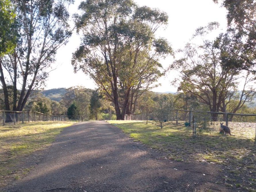 208 Narelle Lane, Greenwich Park NSW 2580 Domain