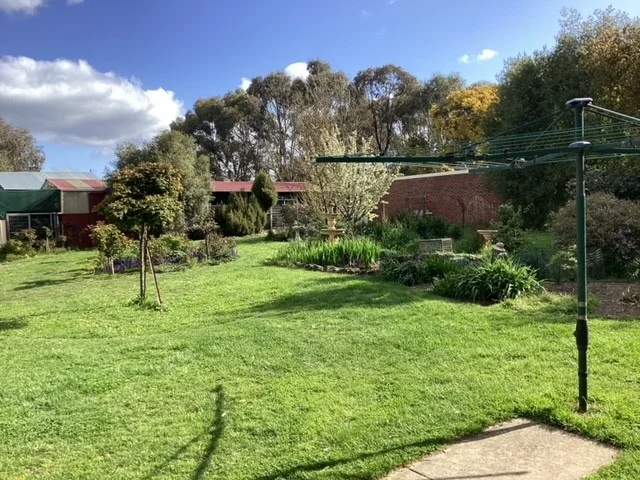 Image 24