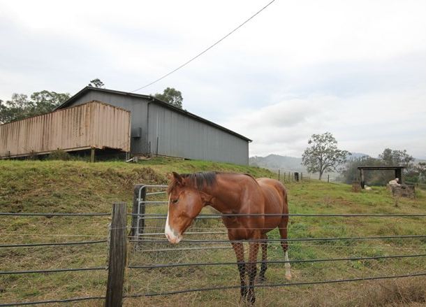 Lot 1 Christmas Creek Road, Lamington QLD 4285