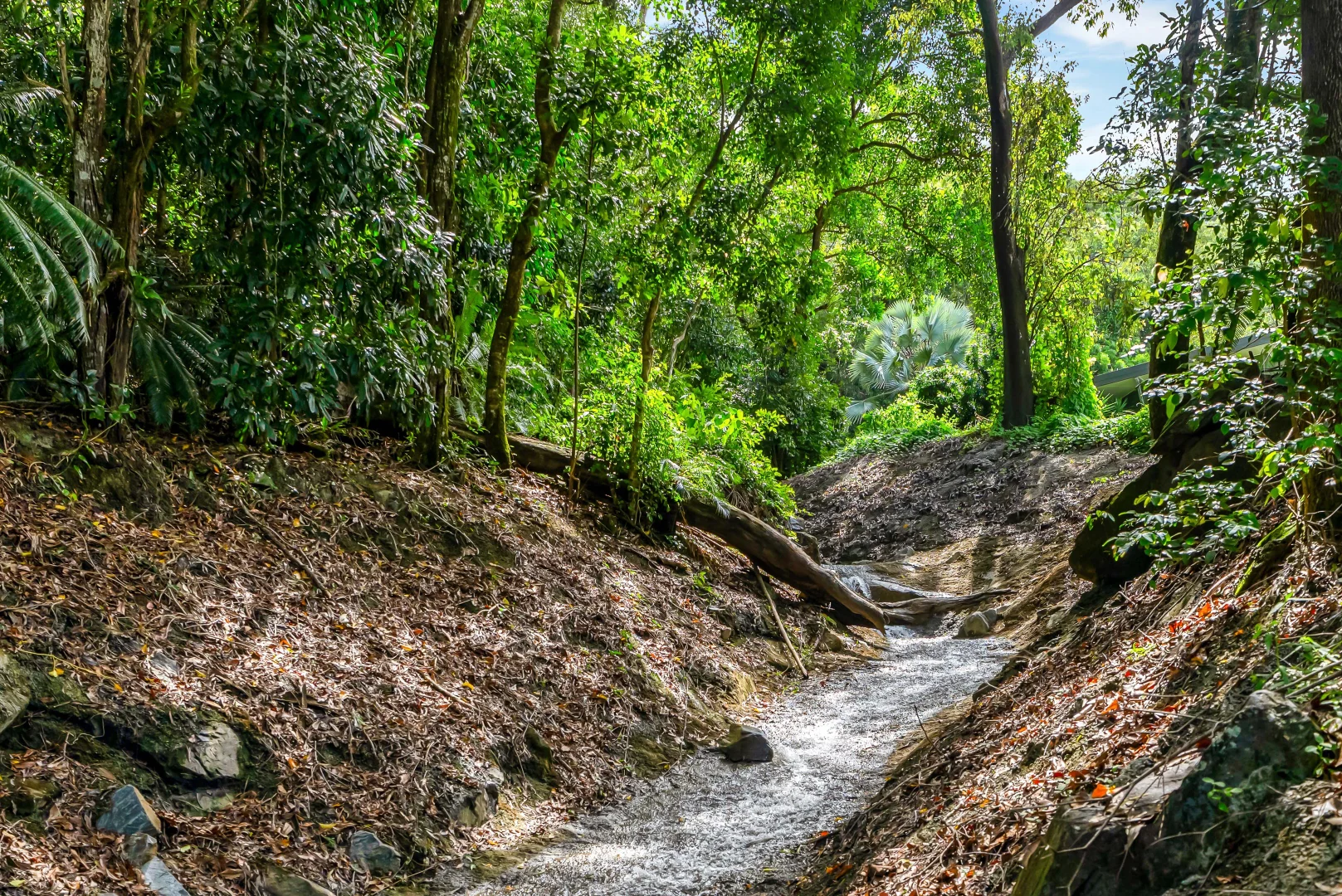 Additional image 37 of 23 Savannah Street, Palm Cove QLD 4879