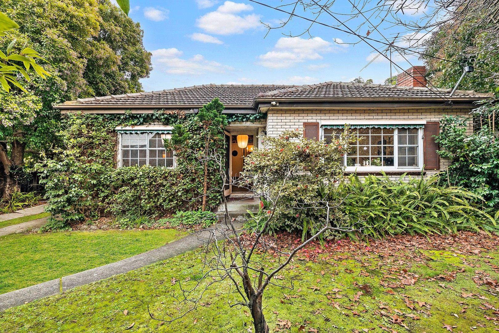 19 Adeline Street, Greensborough VIC 3088, Image 1