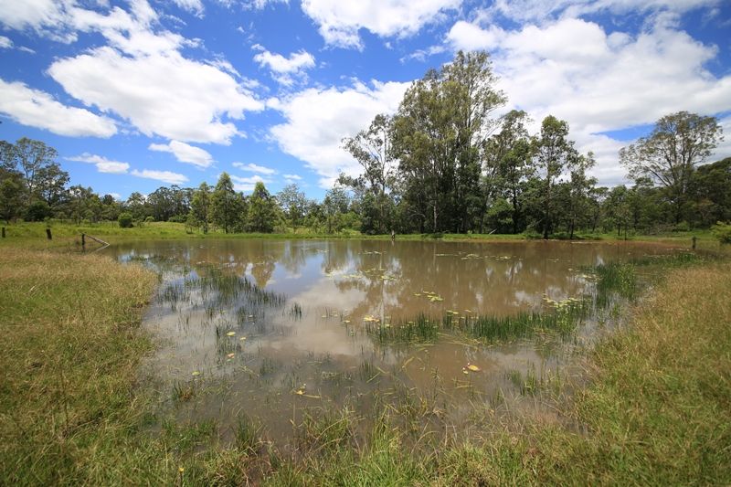 Lot 312 Lower Kangaroo Creek Road, COUTTS CROSSING NSW 2460, Image 1