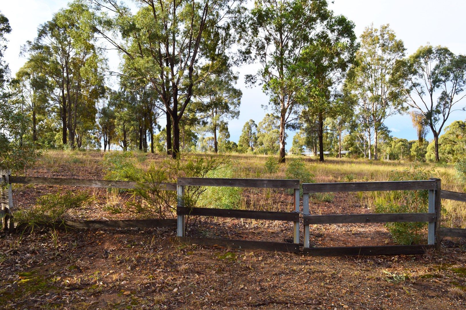 Lot 15/27 Blue Cliff Road, Pokolbin NSW 2320, Image 0