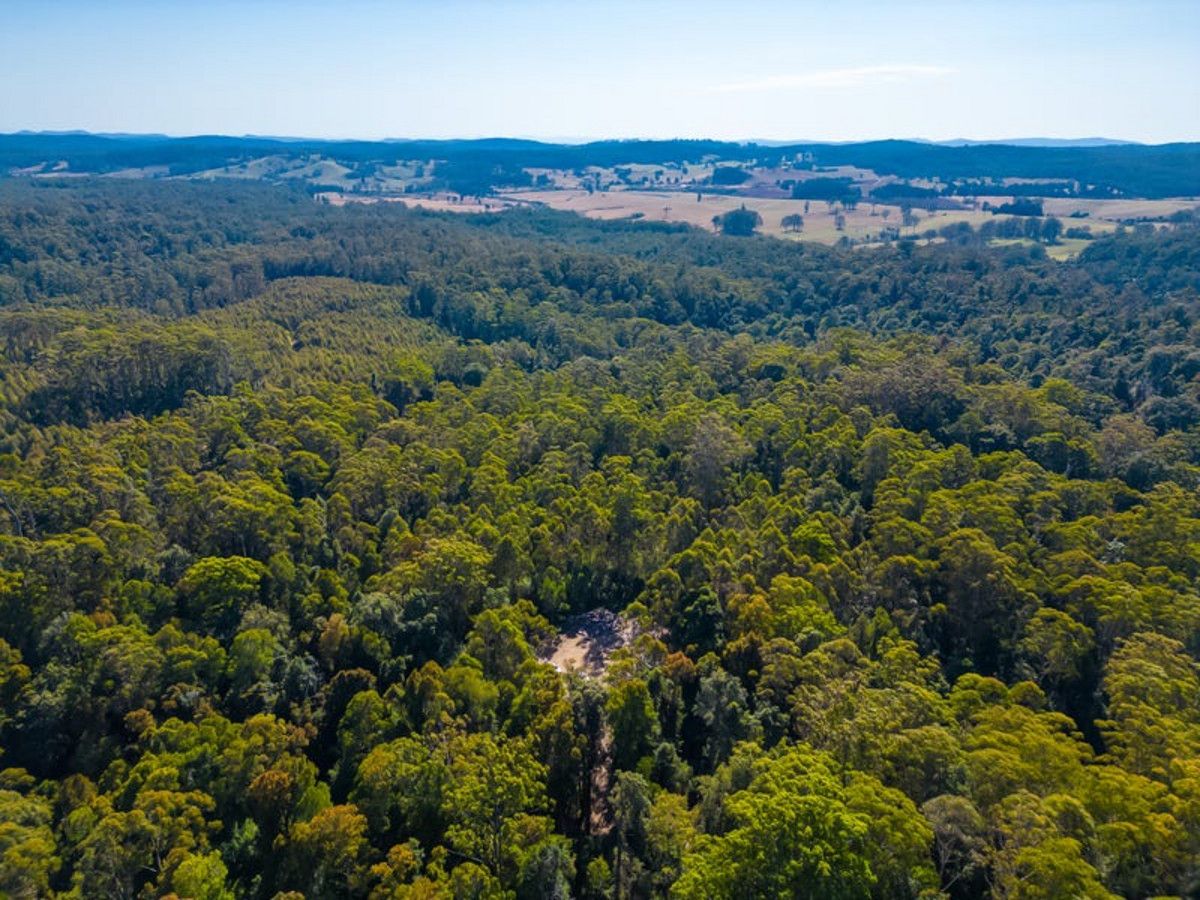 Lot 16 Lower Bobo Road, Ulong NSW 2450, Image 2