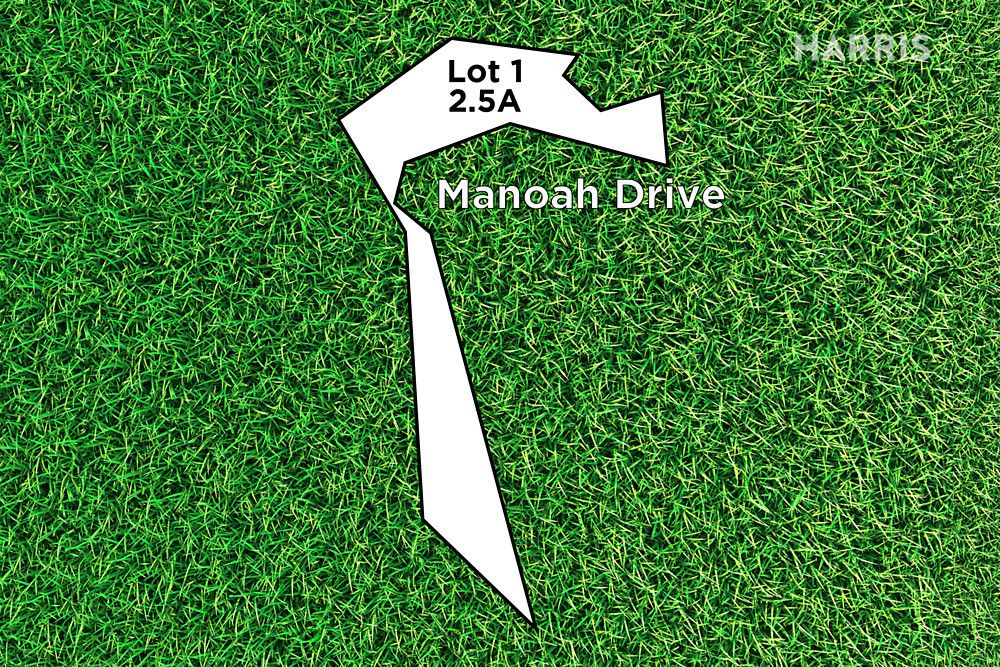 Lot 1 Manoah Drive, Upper Sturt SA 5156, Image 0