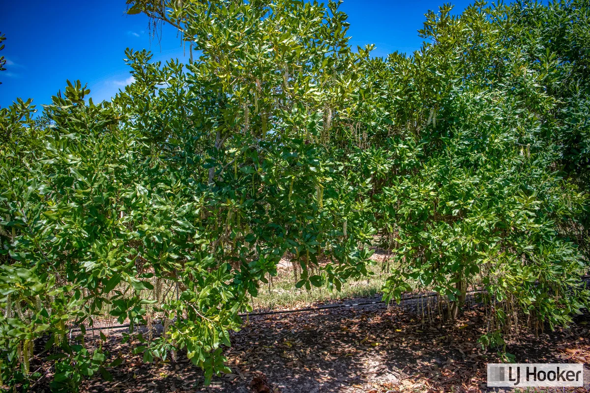 Additional image 22 of Meadowvale QLD 4670