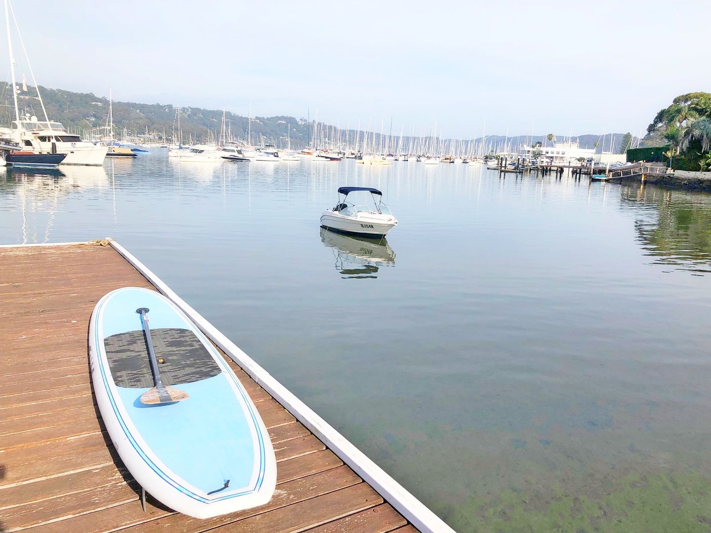 2 bedrooms Apartment / Unit / Flat in 2/8 Kalinya Street NEWPORT NSW, 2106