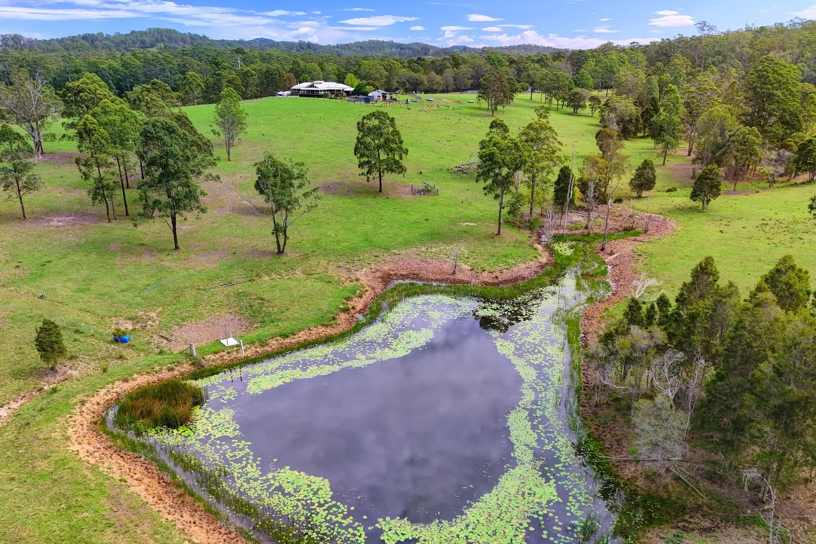 221 Trapyard Road, Wang Wauk NSW 2423