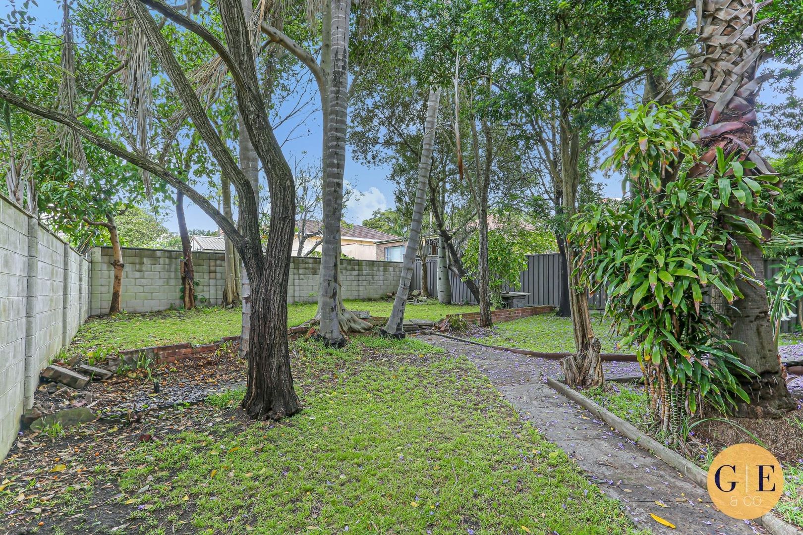 41 Dobroyd Parade, Haberfield NSW 2045, Image 2