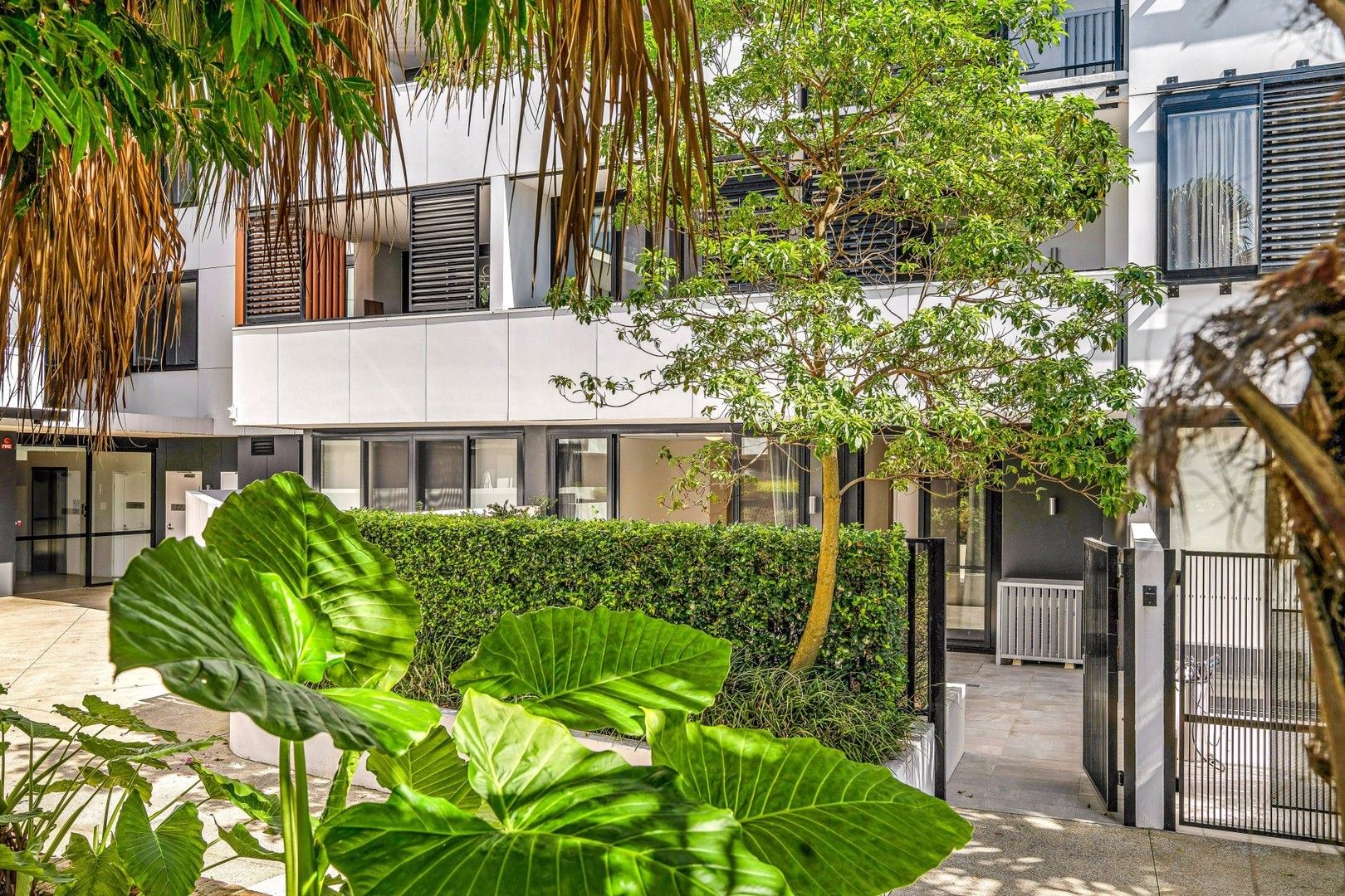 55 Wilson Street, Botany NSW 2019 Domain