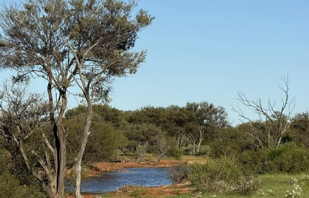 Image 12