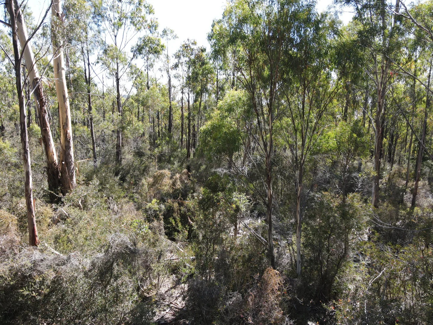 Additional image 12 of 164 Smiths Road, Moogara TAS 7140